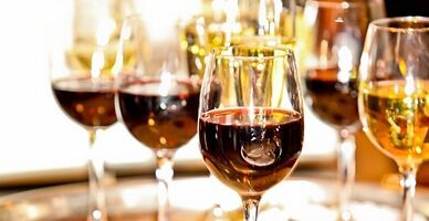 Dégustation de vin du Minervois lors d'une croisière sur le Canal du Midi