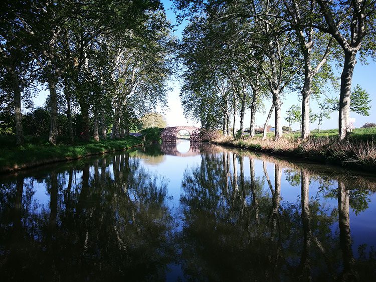 Canal du Midi au départ de Homps