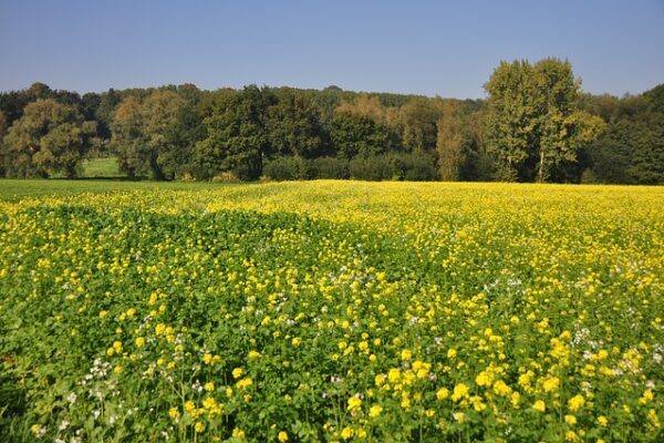 Mountainbike Strecken im Naturpark Ardennen
