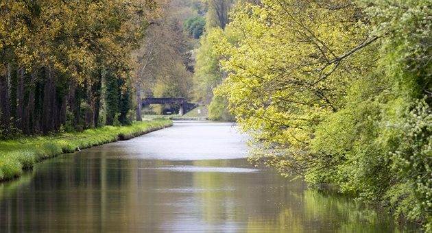 Au cœur de la nature Bourguignonne