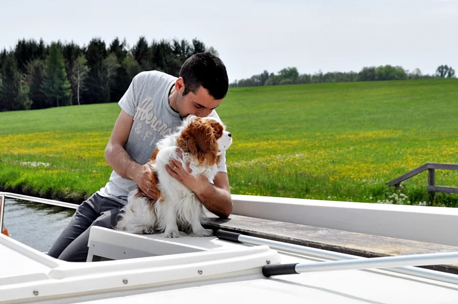 Animal familier